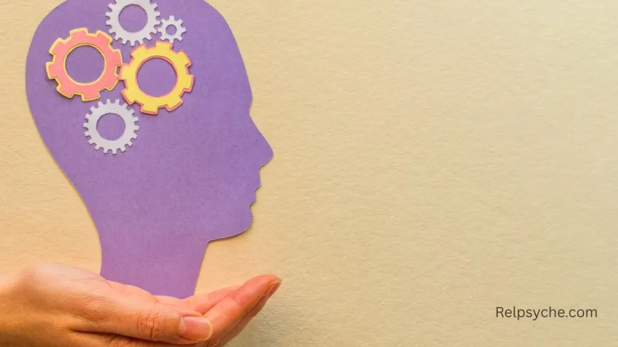 Experimental Psychology Conference: A Guide