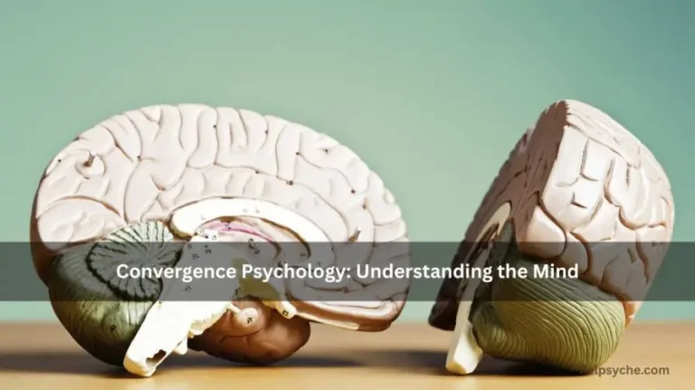 Convergence Psychology: Understanding the Mind