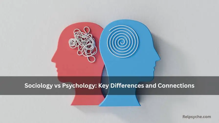 Sociology vs Psychology: Key Differences and Connections
